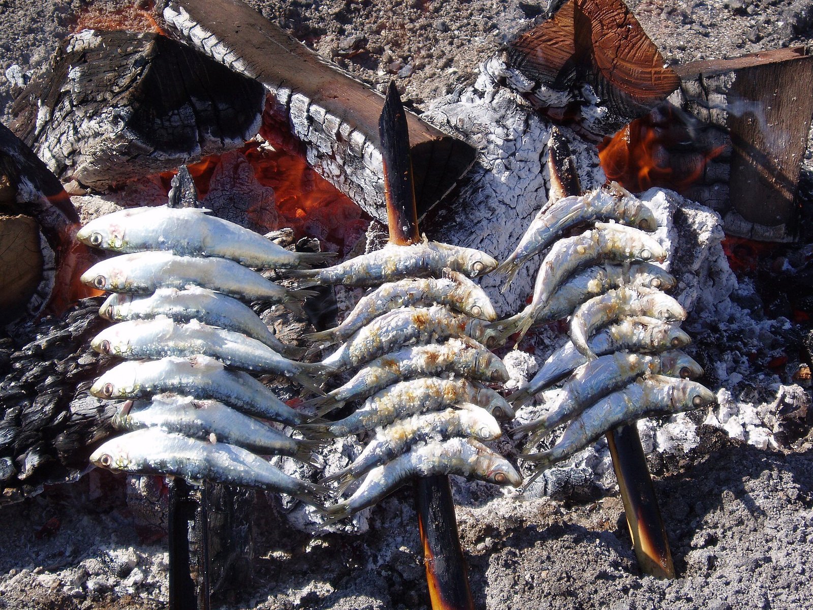Sardines liggen te grillen boven houtskool op een buitengrill