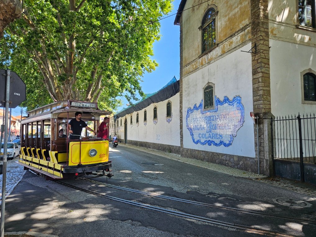 Historische tram rijdt door een groen landschap bij Sintra